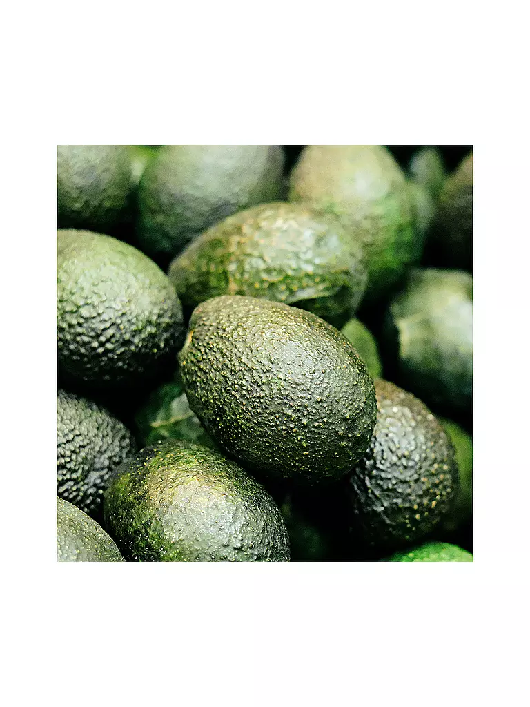 RAUSCH | Farbschutz-Conditioner mit Avocado 150ml | keine Farbe