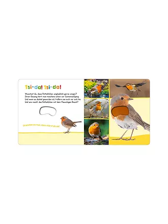 ARS EDITION VERLAG | Buch - Hör mal rein, wer kann das sein? - Vögel | keine Farbe