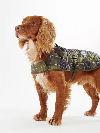BARBOUR | Hunde Jacke Tartan | olive