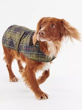 BARBOUR | Hunde Jacke Tartan | olive