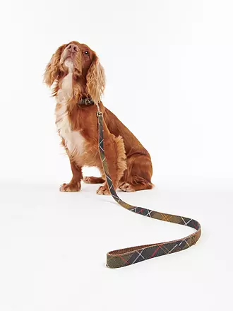 BARBOUR | Hunde Leine Tartan | olive