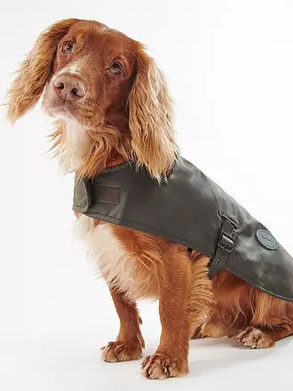 BARBOUR | Hundejacke Wachs | olive