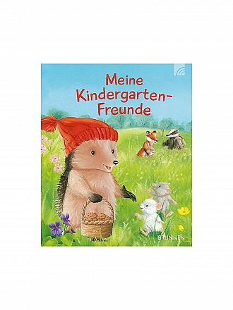 BRUNNEN VERLAG | Eintragealbum - Meine Kindergarten-Freunde - Der kleine Igel | keine Farbe