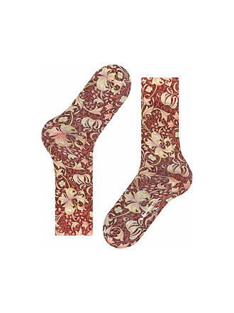 BURLINGTON | Herren Socken MORRIS 40-46 braun | braun