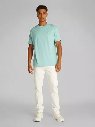 CALVIN KLEIN JEANS | T-Shirt | mint