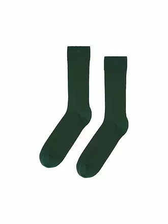 COLORFUL STANDARD | Socken CLASSIC 41-46 limestone grey | grün