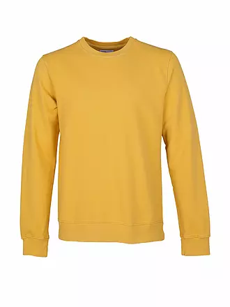 COLORFUL STANDARD | Sweater | beige