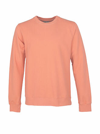 COLORFUL STANDARD | Sweater | koralle
