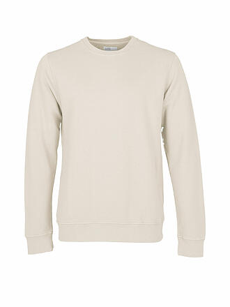 COLORFUL STANDARD | Sweater | creme