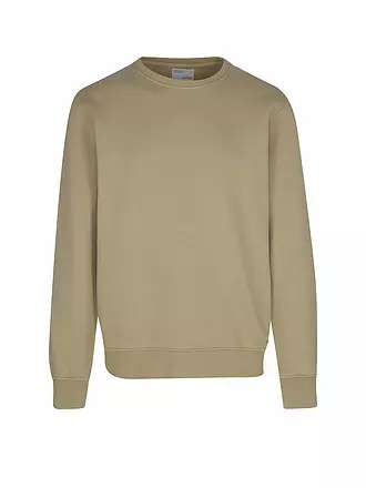 COLORFUL STANDARD | Sweater | beige