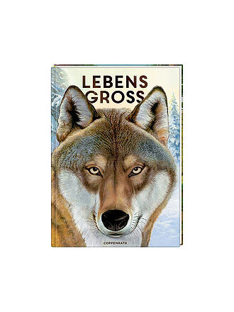 COPPENRATH VERLAG | Buch - Lebensgroß - Tiere des Waldes | keine Farbe