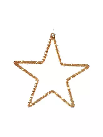 COUNTRYFIELD | Weihnachtsbeleuchtung Stern LED-Timer POLARIS Large 22x22cm Gold | gold