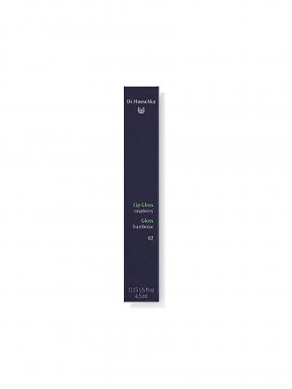 DR. HAUSCHKA | Lip Gloss (02 Rasperry) | braun