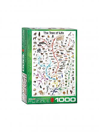 EUROGRAPHICS | Puzzle - The Tree of Life 1000 Teile | bunt