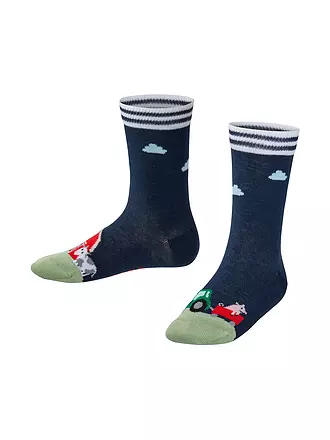 FALKE | Jungen Socken FARM LIFE space blue | beige