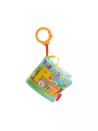 FISHER PRICE | Buggybuch | keine Farbe