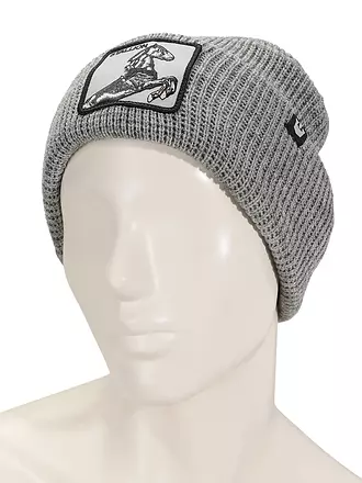 GOORIN BROS. | Mütze - Haube HOOF IT | grau