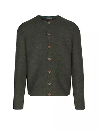GOTTSEIDANK | Trachten Strickjacke ALOISIUS | grün
