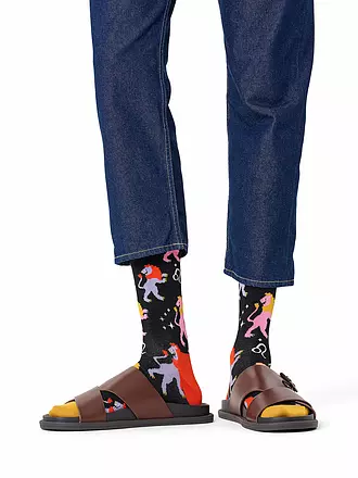 HAPPY SOCKS | Damen Socken LÖWE 36-40 black | schwarz
