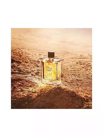 HERMÈS | Terre d’Hermès Eau Intense Vétiver Eau de Parfum 50ml | keine Farbe