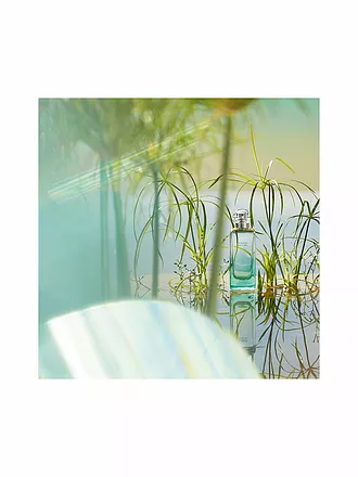 HERMÈS | Un Jardin sur le Nil Eau de Toilette 100ml | keine Farbe