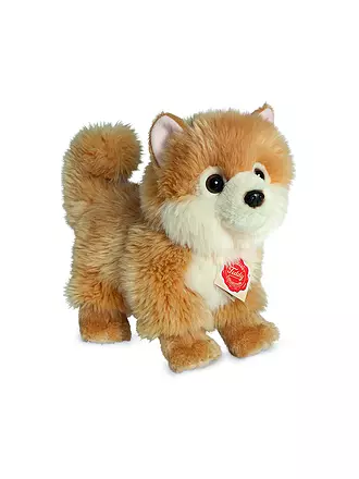 HERMANN TEDDY | Plüschtier - Zwergspitz 22cm | beige