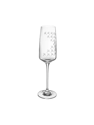 JOOP | Champagnerglas 2er Set 0,25l Faded Cornflower | transparent