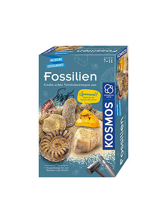 KOSMOS | Fossilien Ausgrabungs-Set | keine Farbe