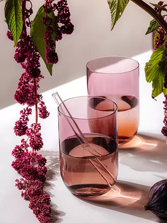 LIKE BY VILLEROY & BOCH | Longdrinkglas 2er Set LIKE GLASS 385ml Grape | grau