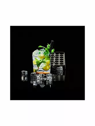 LURCH | Eiswürfelform ICE FORMER Würfel 4x4cm | schwarz