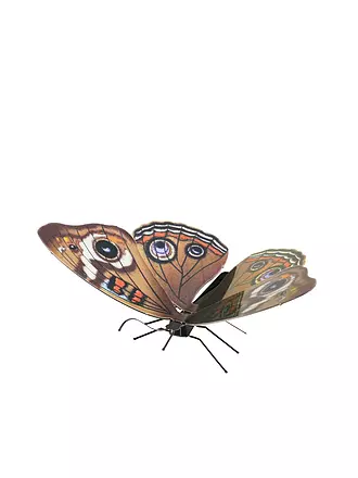 METAL EARTH | 3D Modellbausatz Butterfly Buckeye | keine Farbe