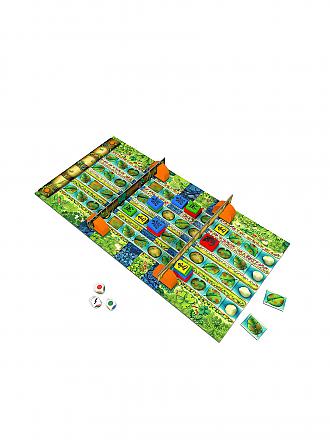 NORIS | Kinderspiel - Go Gecko Go | keine Farbe