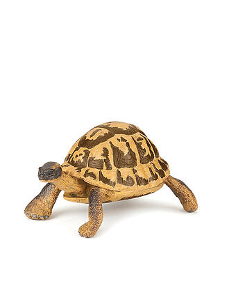 PAPO | Hermanns Schildkröte | keine Farbe