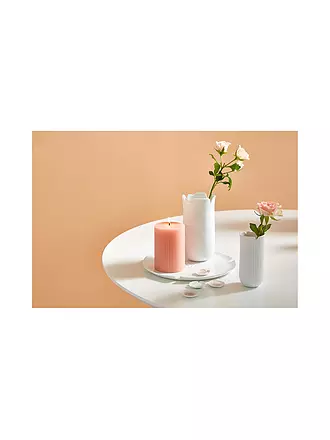 RAEDER | Vase 5,2x11cm DAS BLUEHENDE LEBEN Poppy | weiss