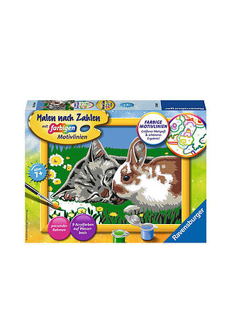 RAVENSBURGER | Malen nach Zahlen - Kätzchen und Häschen | keine Farbe