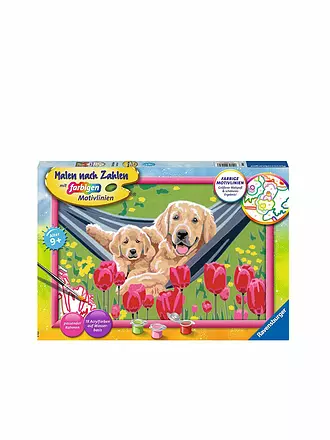 RAVENSBURGER | Malen nach Zahlen - Kuschelpause | keine Farbe