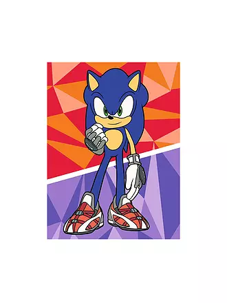 RAVENSBURGER | Malen nach Zahlen - Sonic: New Yoke City | keine Farbe