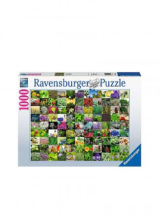RAVENSBURGER | Puzzle - 99 Kräuter und Gewürze - 1000 Teile | keine Farbe