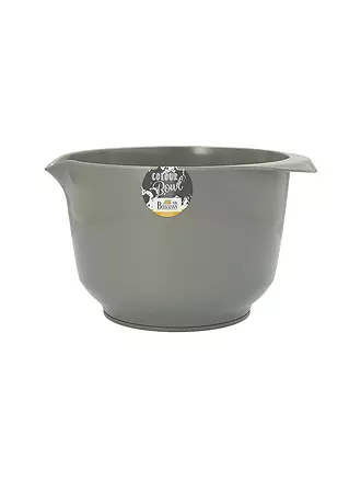 RBV BIRKMANN | Rühr- & Servierschüssel 3L Colour Bowl Grau | mint