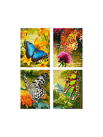 SCHIPPER | Malen nach Zahlen - Schmetterlinge | keine Farbe