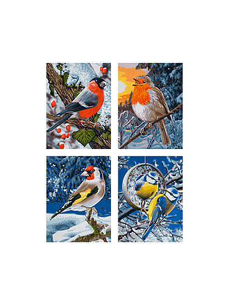 SCHIPPER | Malen nach Zahlen - Wintervögel | keine Farbe