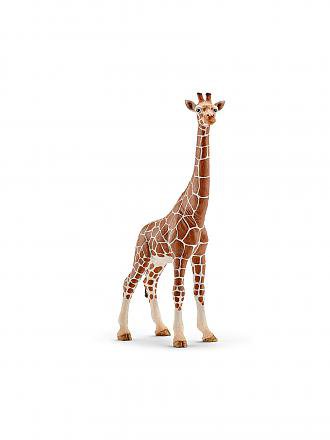 SCHLEICH | Giraffenkuh 