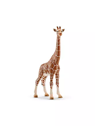 SCHLEICH | Giraffenkuh 