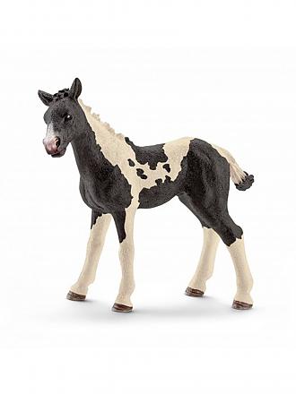 SCHLEICH | Pinto Fohlen 