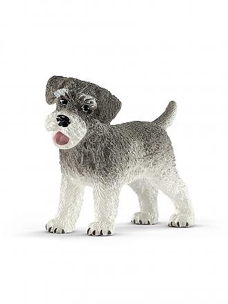 SCHLEICH | Zwergschnauzer 