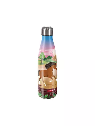 STEP BY STEP | Edelstahl Trinkflasche - Monster TR Rocky 0,5L | bunt