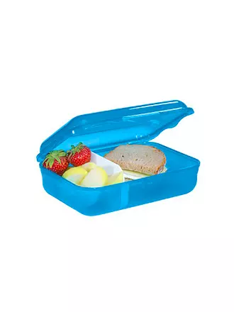 STEP BY STEP | Frischhaltedose - Lunchbox Wild T-Rex Taro | hellblau