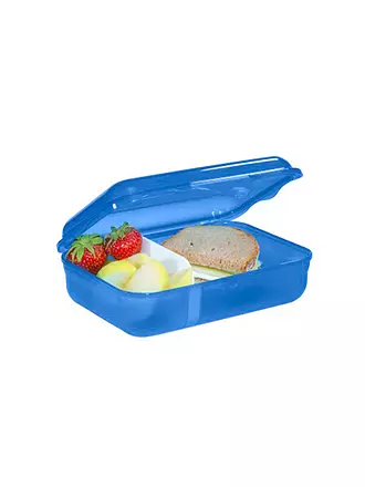 STEP BY STEP | Frischhaltedose - Lunchbox Wild T-Rex Taro | blau