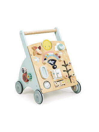 TENDER LEAF TOYS | Aktivitäten-/Lauflernwagen | bunt