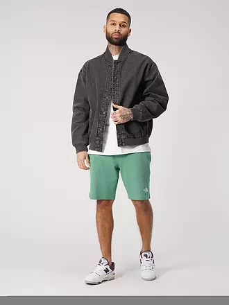 THE NORTH FACE | Shorts | grün